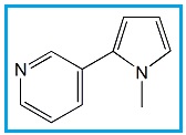Nicotine Related Compound B
